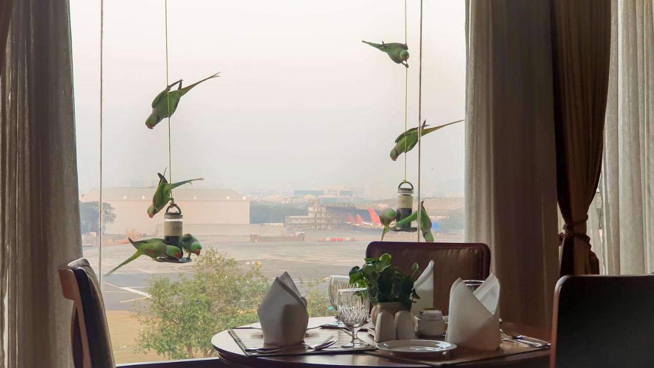 ดิ ออร์คิด Hotel มุมไบ ภายนอก รูปภาพ Parrots at the airport
